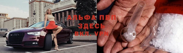 спайс Баксан