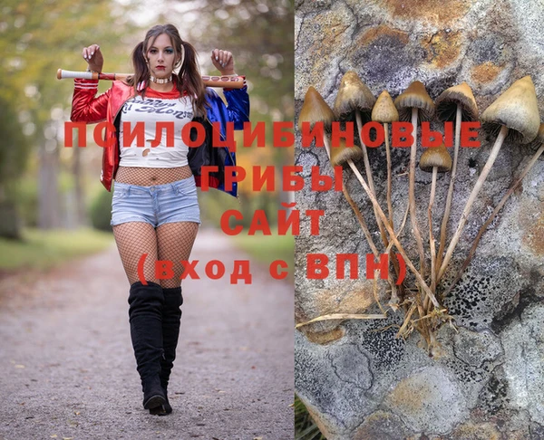 Альфа ПВП Балабаново