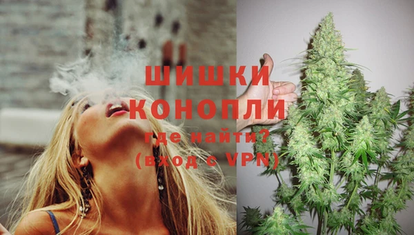 спайс Баксан