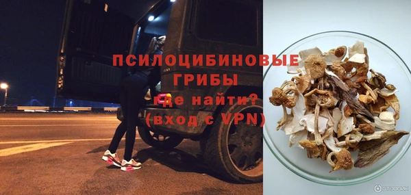 спайс Баксан