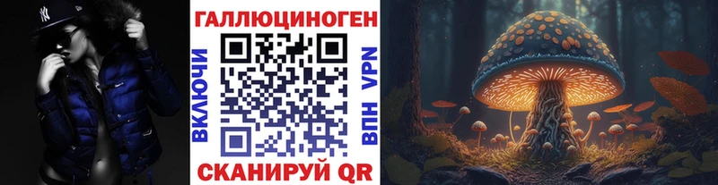 как найти закладки  Сегежа  Псилоцибиновые грибы ЛСД 
